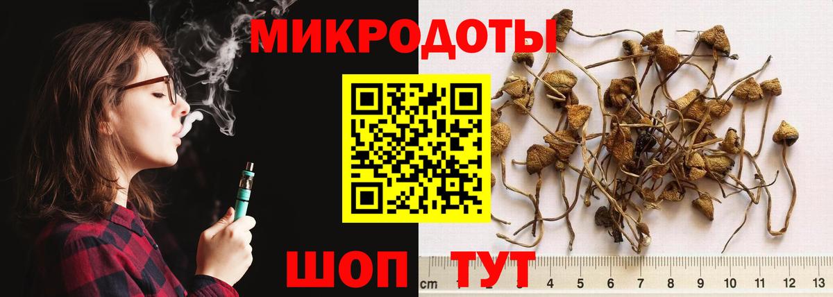 Псилоцибиновые грибы GOLDEN TEACHER Юрга
